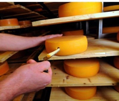 cheese fromital